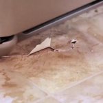 How to close a hole in linoleum: with and without plaster, how to seal the cut