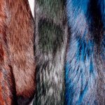 Dye fur at home: features and methods of dyeing fur